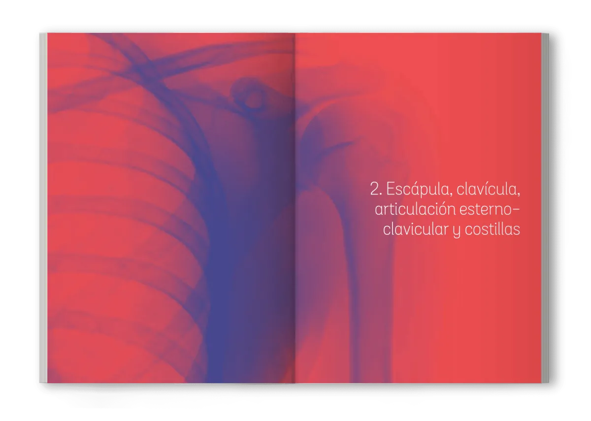 Basic Radiological Projections manual